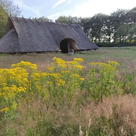 Vakantie Op De Veluwe *