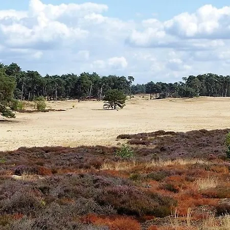 Шале Vakantie Op De Veluwe