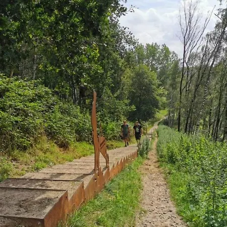 Vakantie Op De Veluwe * Люнтерен