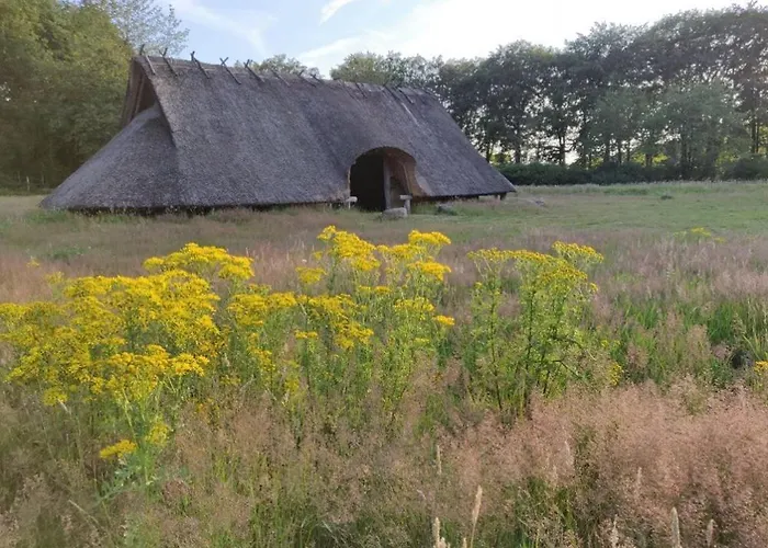 Vakantie Op De Veluwe *