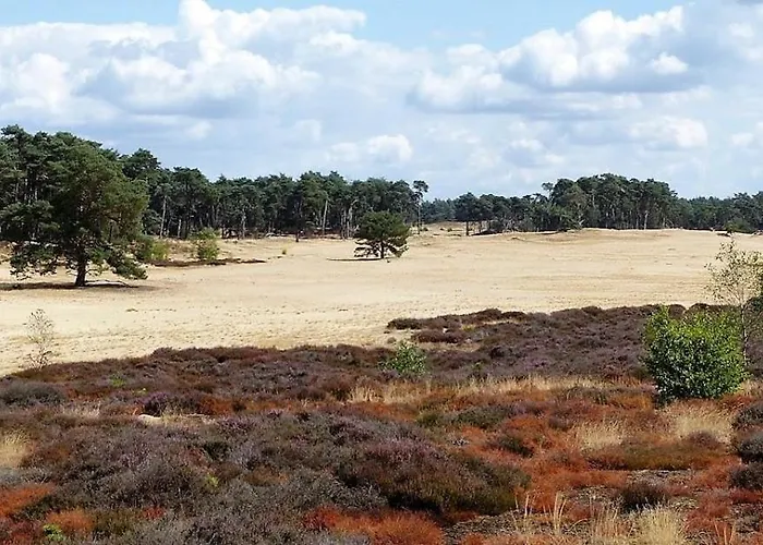 Domek alpejski Vakantie Op De Veluwe
