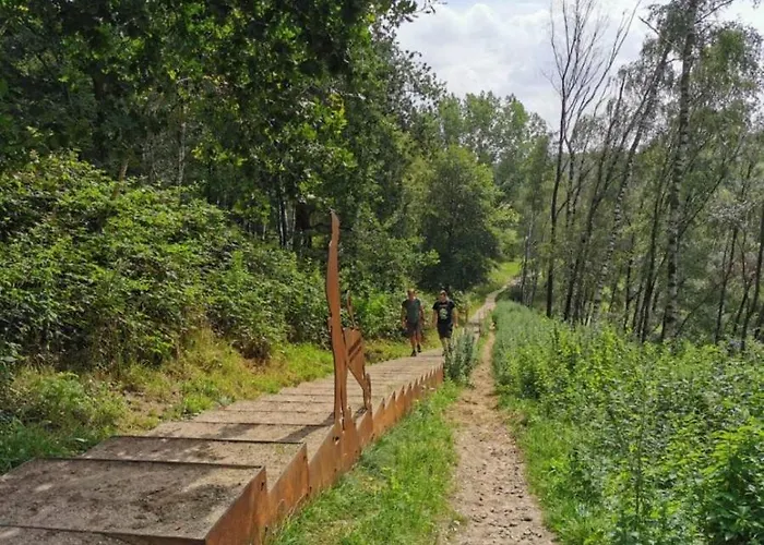 Vakantie Op De Veluwe * Lunteren