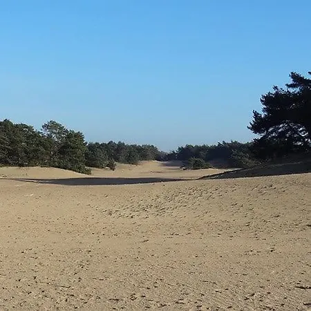 Vakantie Op De Veluwe Alpehytte